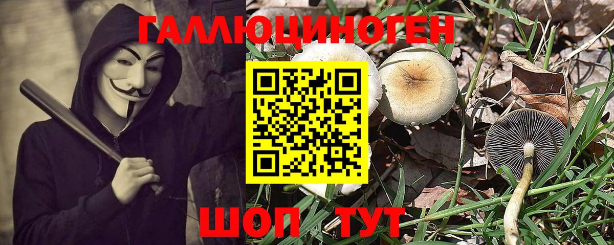 Галлюциногенные грибы Magic Shrooms Тула